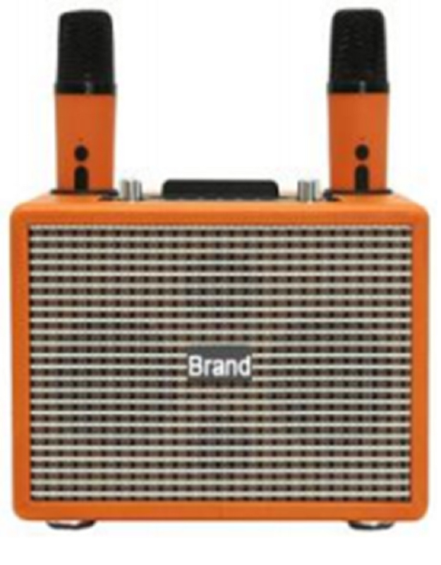 ETEK Dual LTK53101 Amplificateurs avec haut-parleurs à plage complète de 3 pouces 40 mm Tweeter et microphones sans fil doubles Haut-parleur Karaoké à domicile