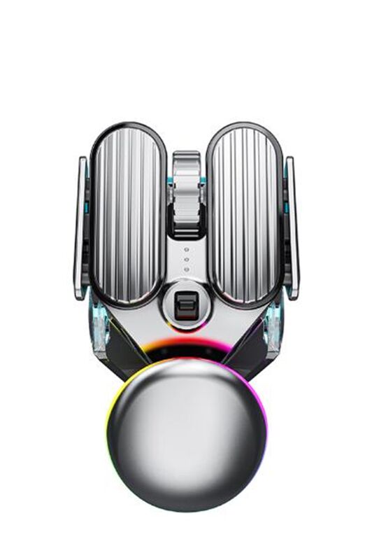 Souris sans fil silencieuse rechargeable, 6 touches, 4800 DPI, rétroéclairage RVB, double mode, métal argenté